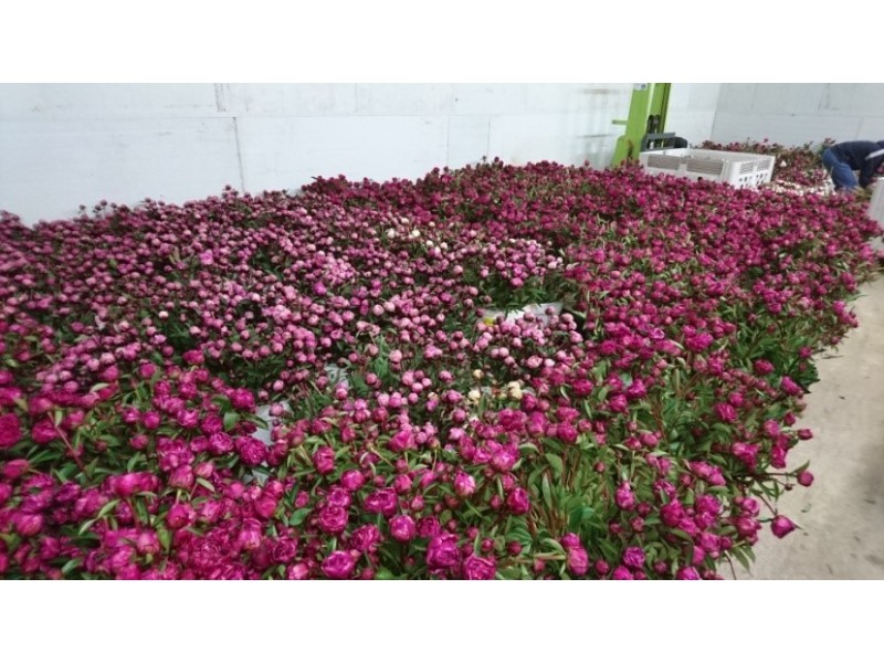 314 Loongana, Nietta TAS 7315