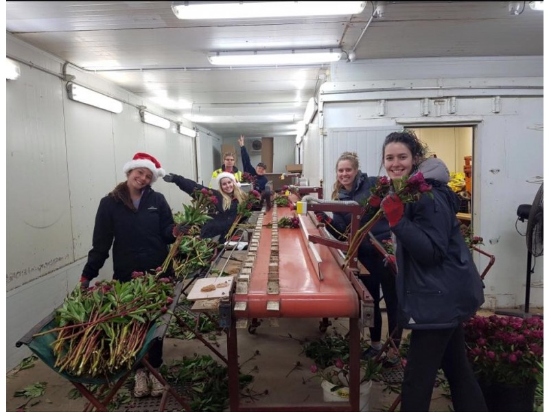 314 Loongana, Nietta TAS 7315