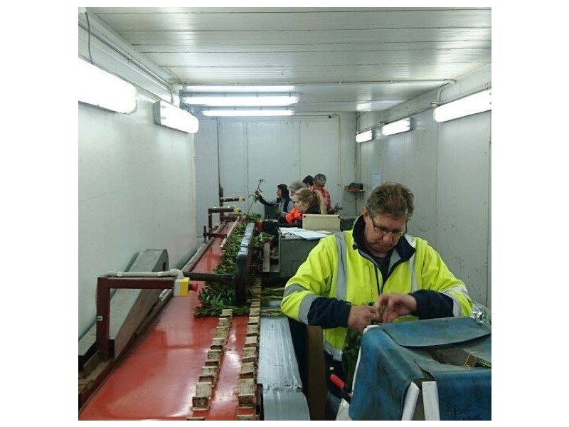 314 Loongana, Nietta TAS 7315