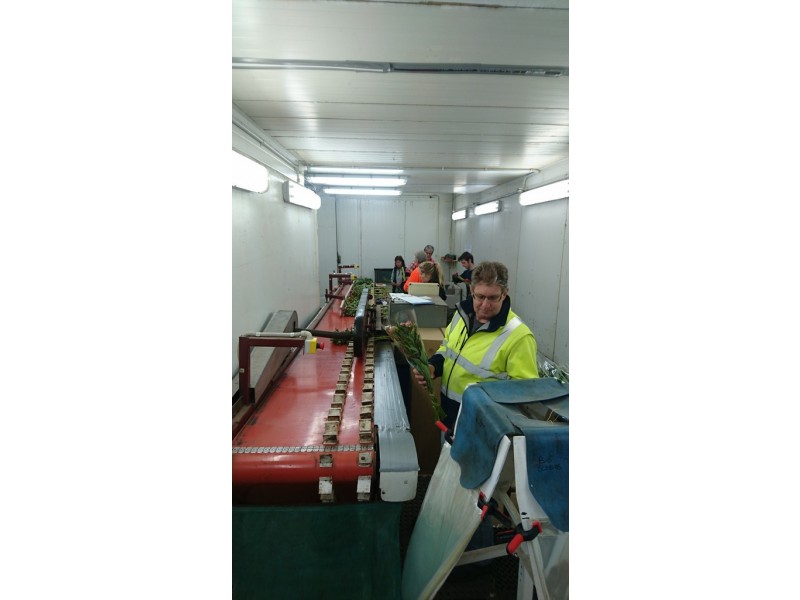 314 Loongana, Nietta TAS 7315