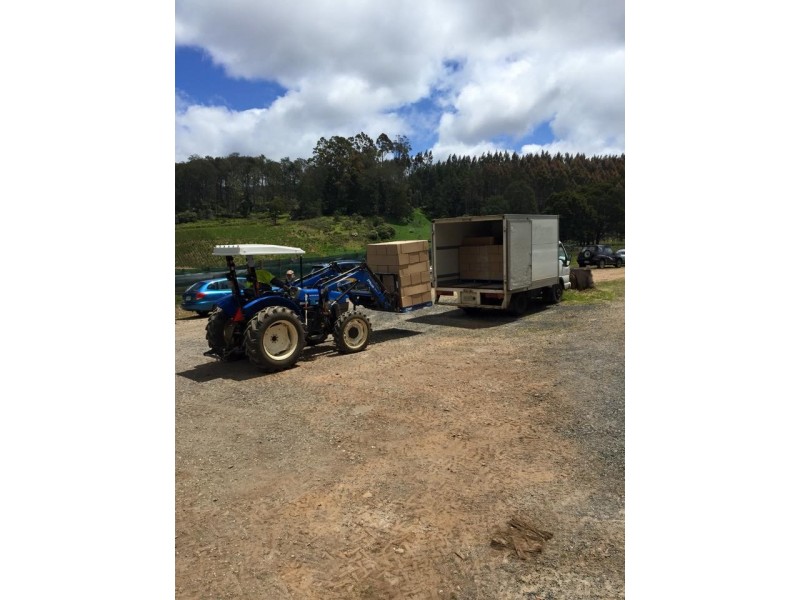 314 Loongana, Nietta TAS 7315