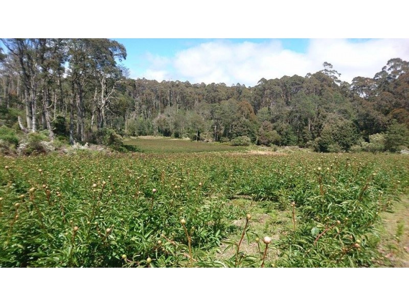 314 Loongana, Nietta TAS 7315