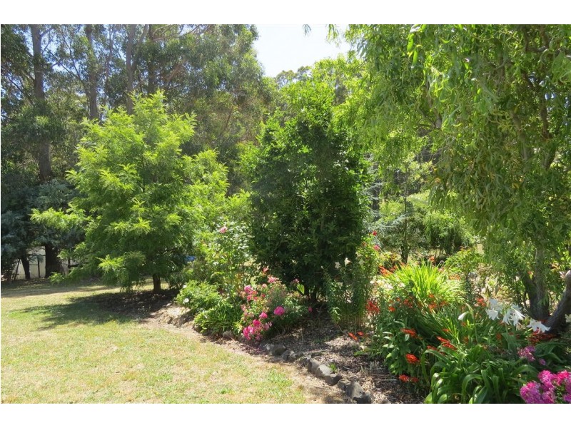 24 Swamp Road, Kindred TAS 7310