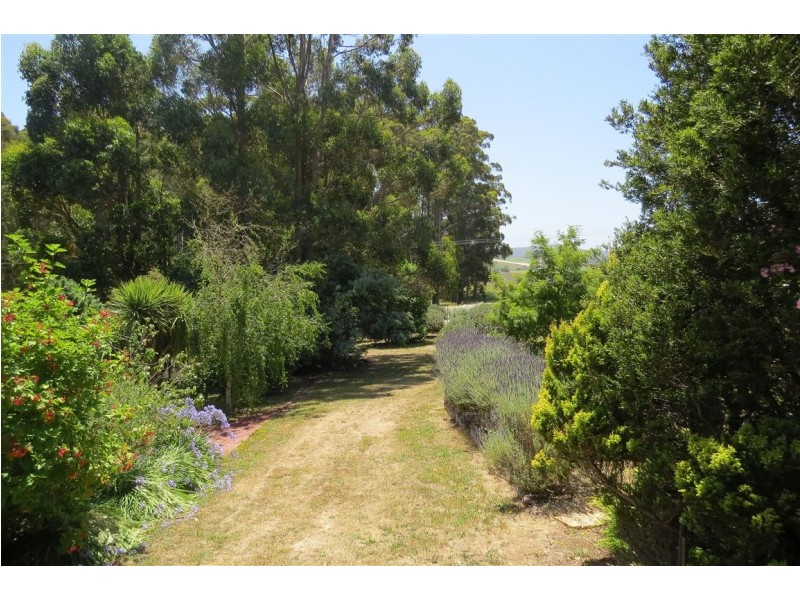 24 Swamp Road, Kindred TAS 7310