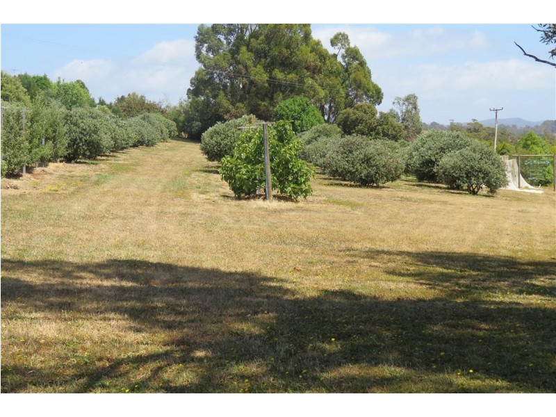 24 Swamp Road, Kindred TAS 7310