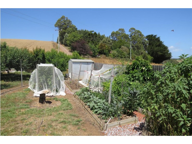 24 Swamp Road, Kindred TAS 7310