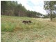 . Lobster Creek Road, West Ulverstone TAS 7315
