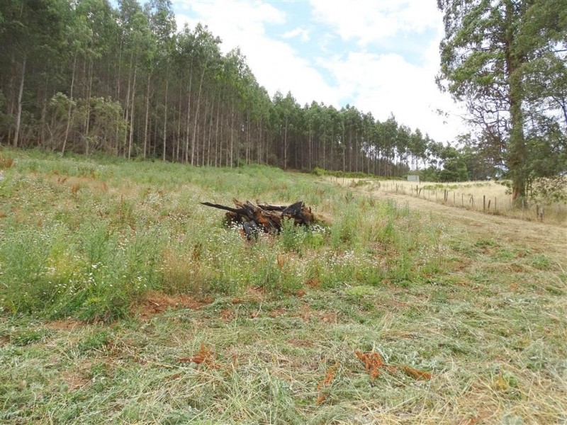. Lobster Creek Road, West Ulverstone TAS 7315