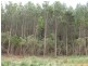 . Lobster Creek Road, West Ulverstone TAS 7315