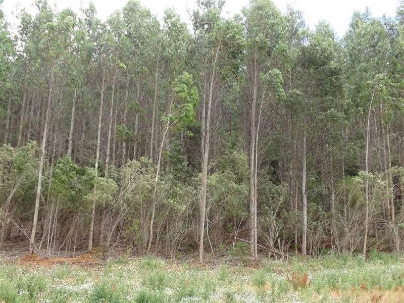 . Lobster Creek Road, West Ulverstone TAS 7315