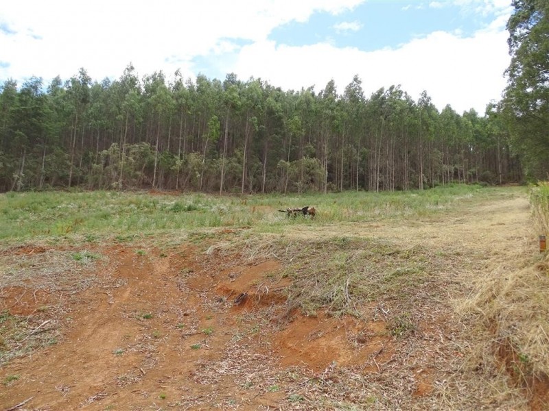 . Lobster Creek Road, West Ulverstone TAS 7315