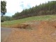 . Lobster Creek Road, West Ulverstone TAS 7315