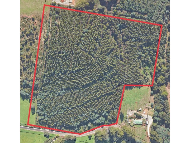 . Lobster Creek Road, West Ulverstone TAS 7315