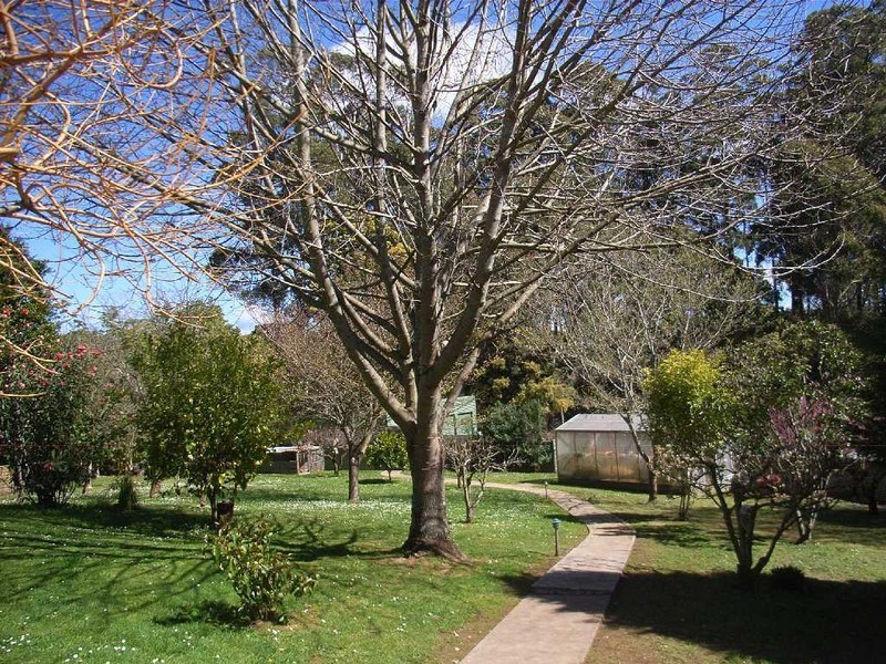 110 CLERKES PLAINS RD, Spalford TAS 7315