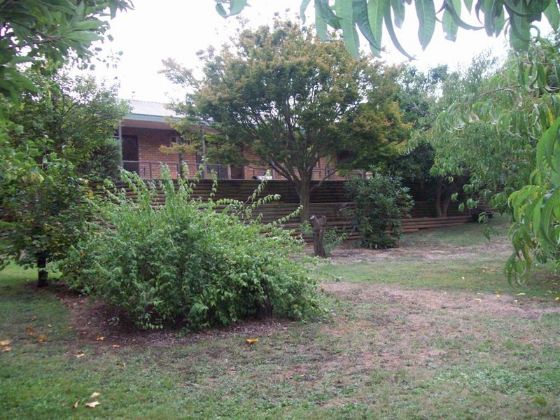 110 CLERKES PLAINS RD, Spalford TAS 7315