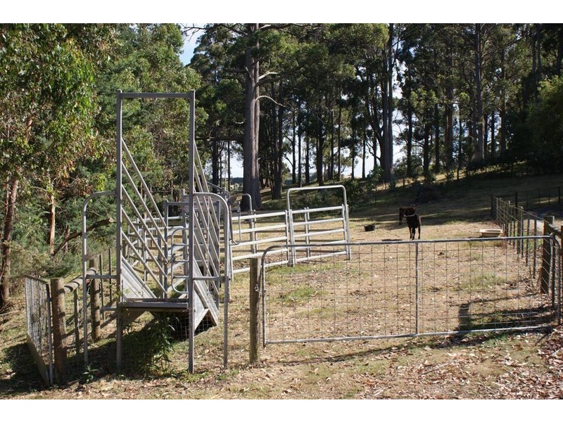 110 CLERKES PLAINS RD, Spalford TAS 7315