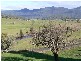 1730 South Riana Road, Gunns Plains, Ulverstone TAS 7315