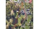 2B Bladen-Lee Crescent, West Ulverstone TAS 7315