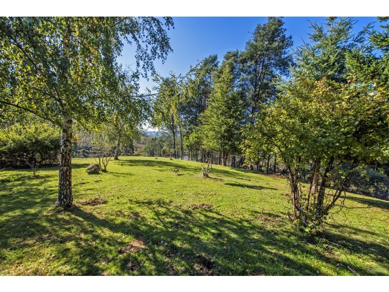 92 Cradle Mountain Road, Wilmot TAS 7310