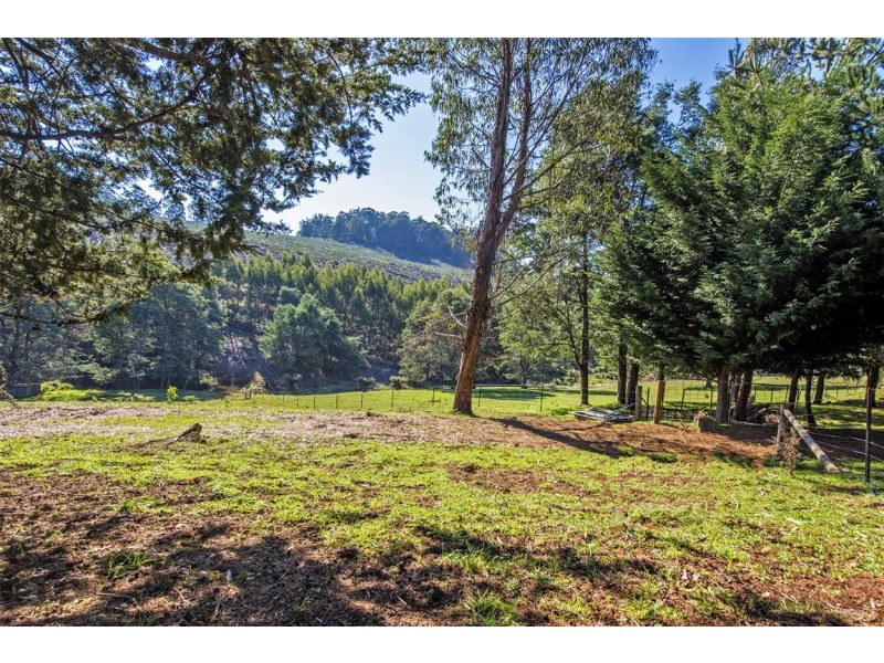 92 Cradle Mountain Road, Wilmot TAS 7310