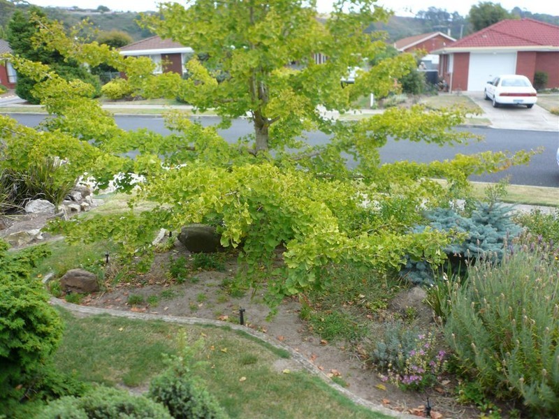 15 Westland Drive, Ulverstone TAS 7315