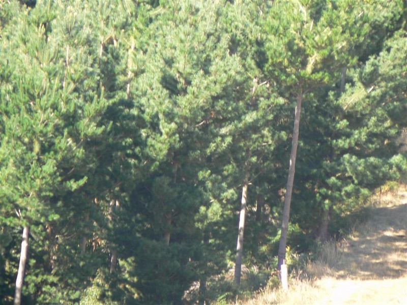 551 Gunns Plains Road, Gunns Plains, Ulverstone TAS 7315