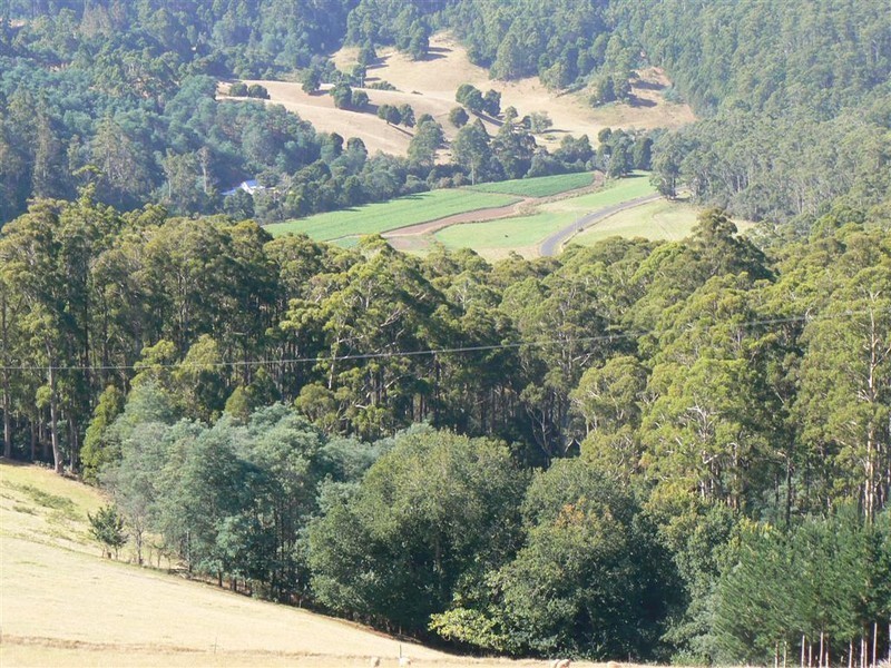 551 Gunns Plains Road, Gunns Plains, Ulverstone TAS 7315