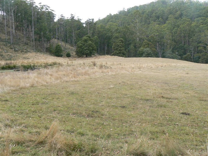 Paloona Dam Road, Paloona TAS 7310