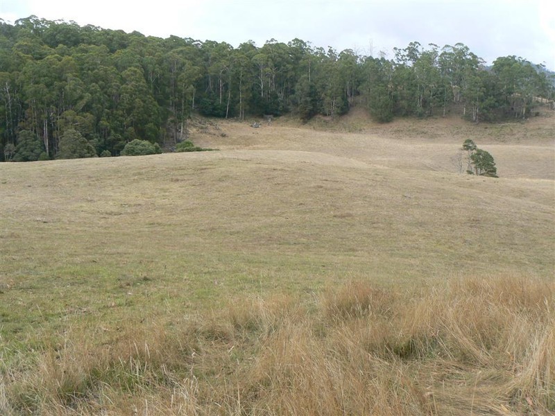Paloona Dam Road, Paloona TAS 7310