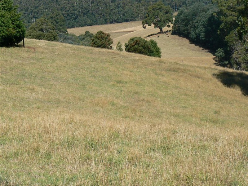 551 Gunns Plains Road, Gunns Plains TAS 7315