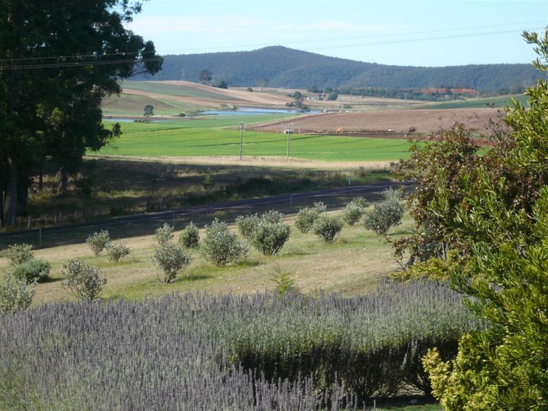 Cnr Swamp and Kindred Roads, Kindred, Ulverstone TAS 7315