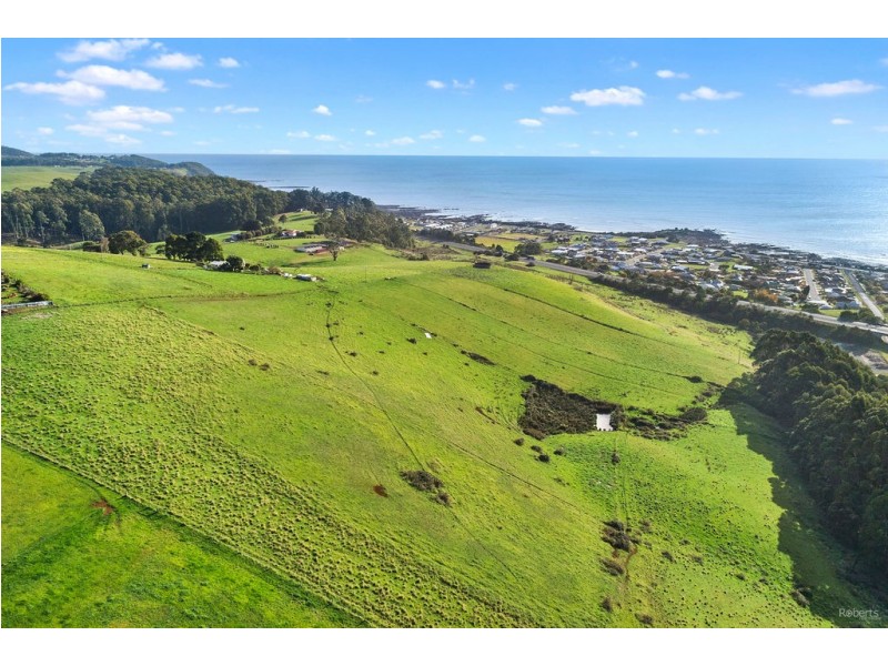 79 Zig Zag Road, Sulphur Creek TAS 7316