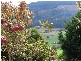 220 Raymond Road, Gunns Plains TAS 7315