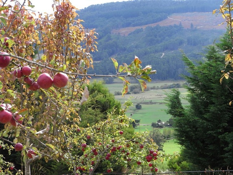 220 Raymond Road, Gunns Plains TAS 7315