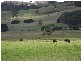 220 Raymond Road, Gunns Plains TAS 7315