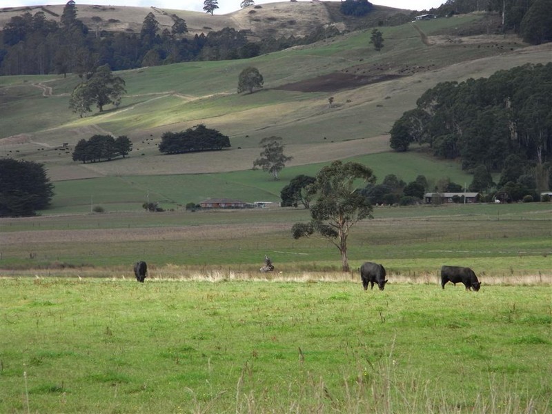 220 Raymond Road, Gunns Plains TAS 7315