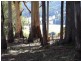 220 Raymond Road, Gunns Plains TAS 7315