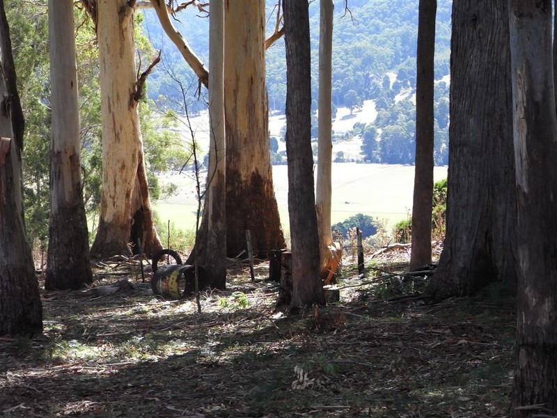 220 Raymond Road, Gunns Plains TAS 7315