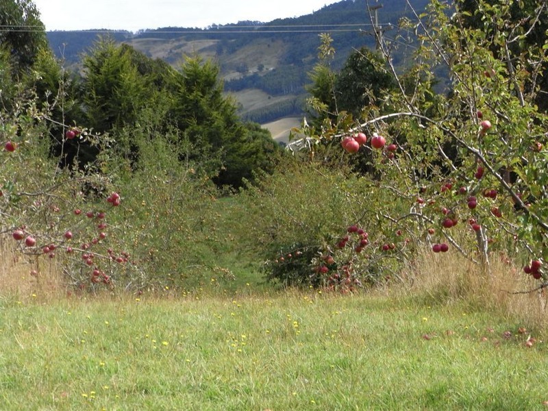 220 Raymond Road, Gunns Plains TAS 7315