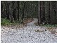 Wilmot Road, Forth TAS 7310