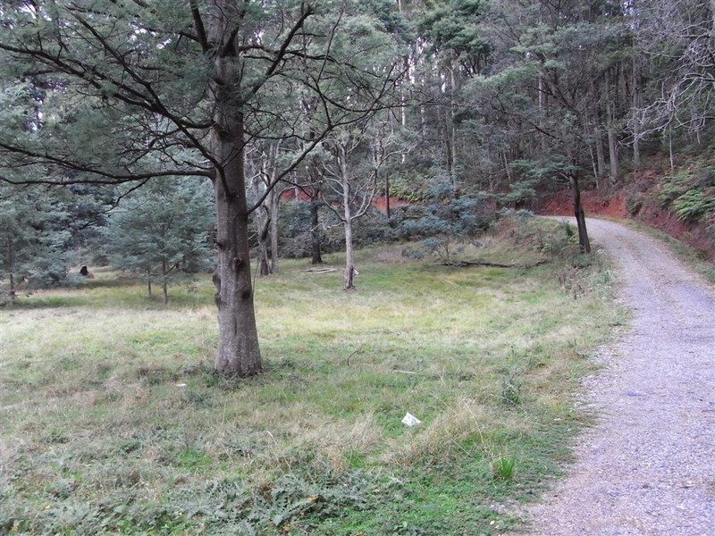 Wilmot Road, Forth TAS 7310