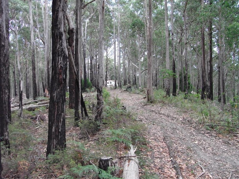 Wilmot Road, Forth TAS 7310