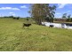 543 Preston Road, North Motton TAS 7315