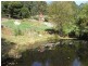 170 Dennis Road, Gunns Plains, Ulverstone TAS 7315