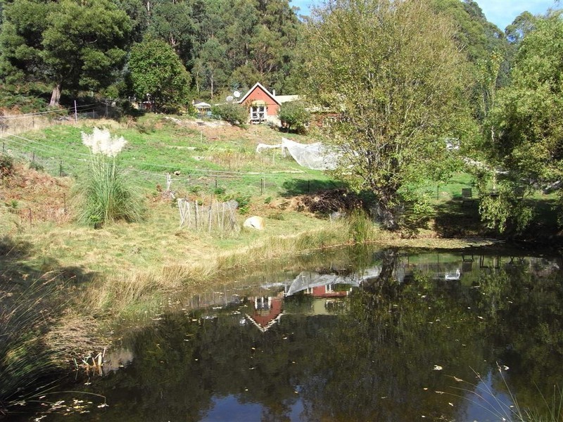 170 Dennis Road, Gunns Plains, Ulverstone TAS 7315