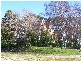 68 Westella Drive, Ulverstone TAS 7315