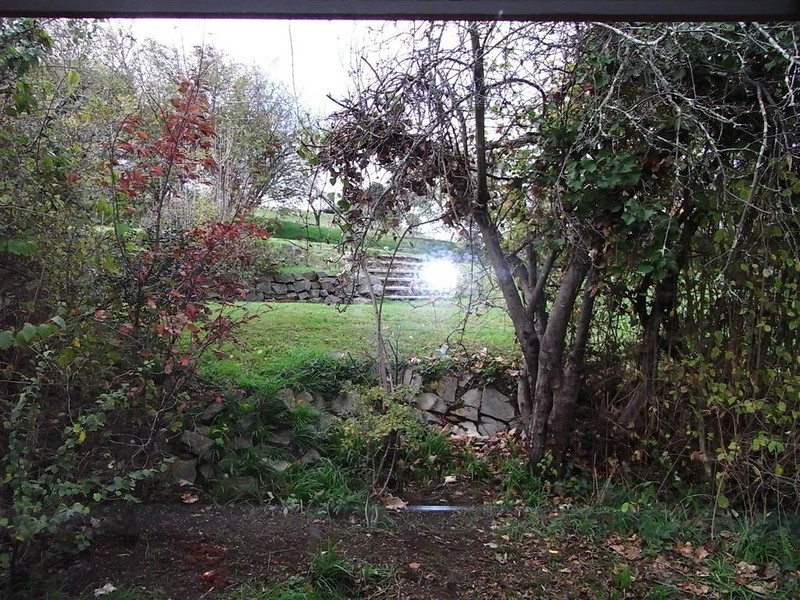 6 Grove Street, Forth TAS 7310