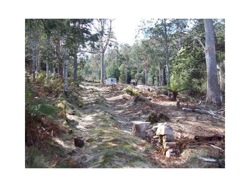 1759 Loongana Road, Loongana TAS 7315