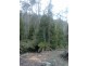 1759 Loongana Road, Loongana TAS 7315