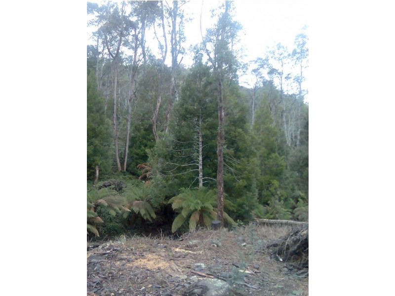 1759 Loongana Road, Loongana TAS 7315